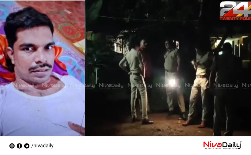 Nadapuram brothers attack
