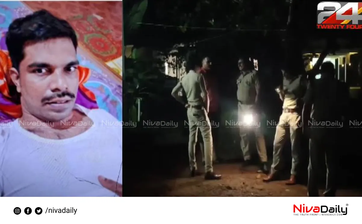 Nadapuram brothers attack