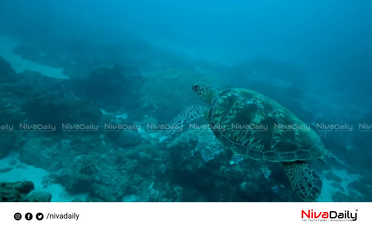 marine biodiversity threat