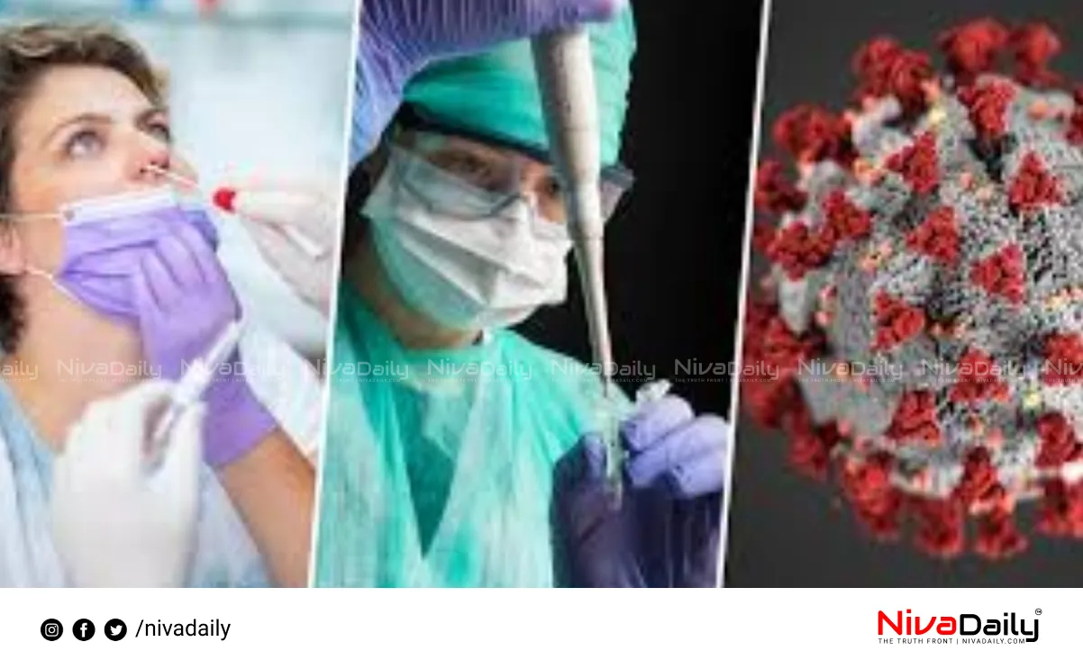 Covid-19 cases India