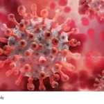 Covid cases decrease