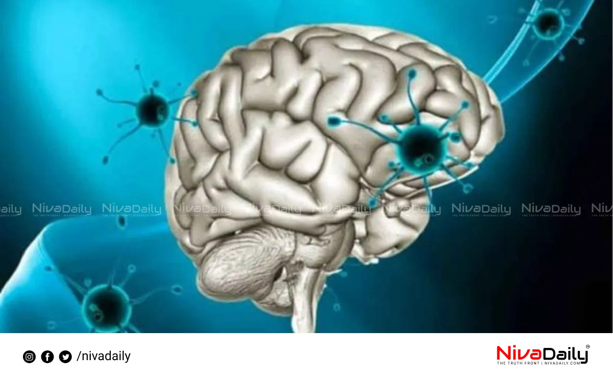amoebic meningitis death