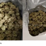 Cannabis seized Idukki