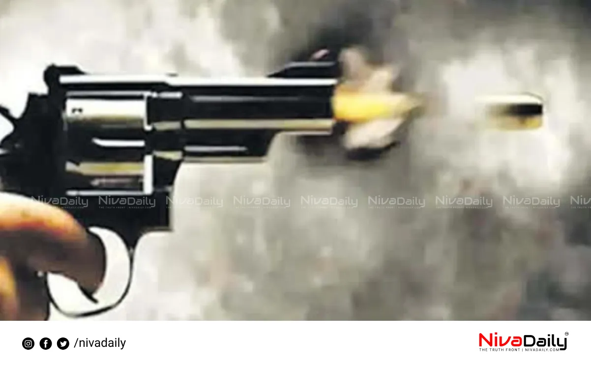 Stray dog shooting