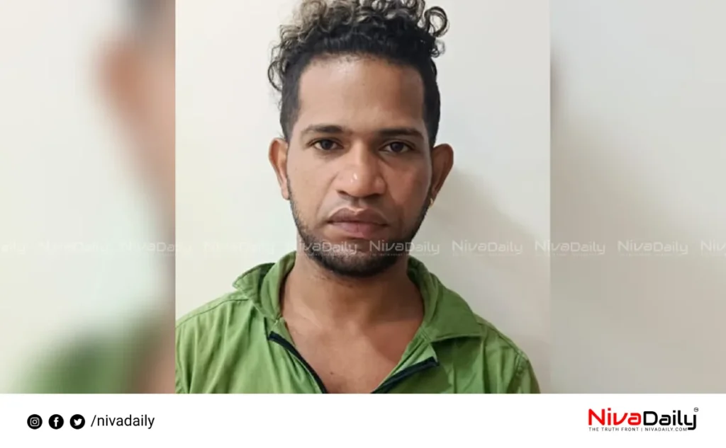Ottapalam drug arrest