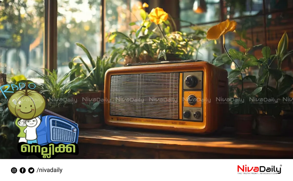 Radio Nellikka