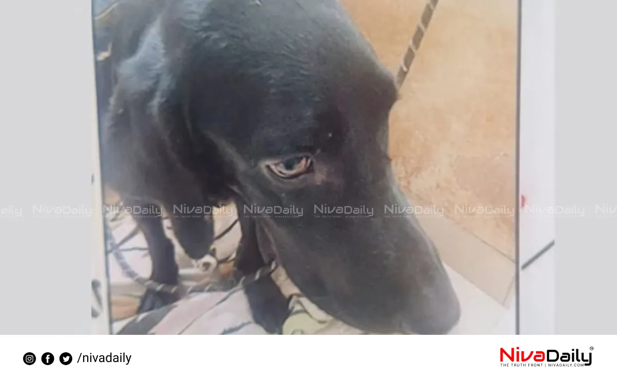 tantric ritual dog killing
