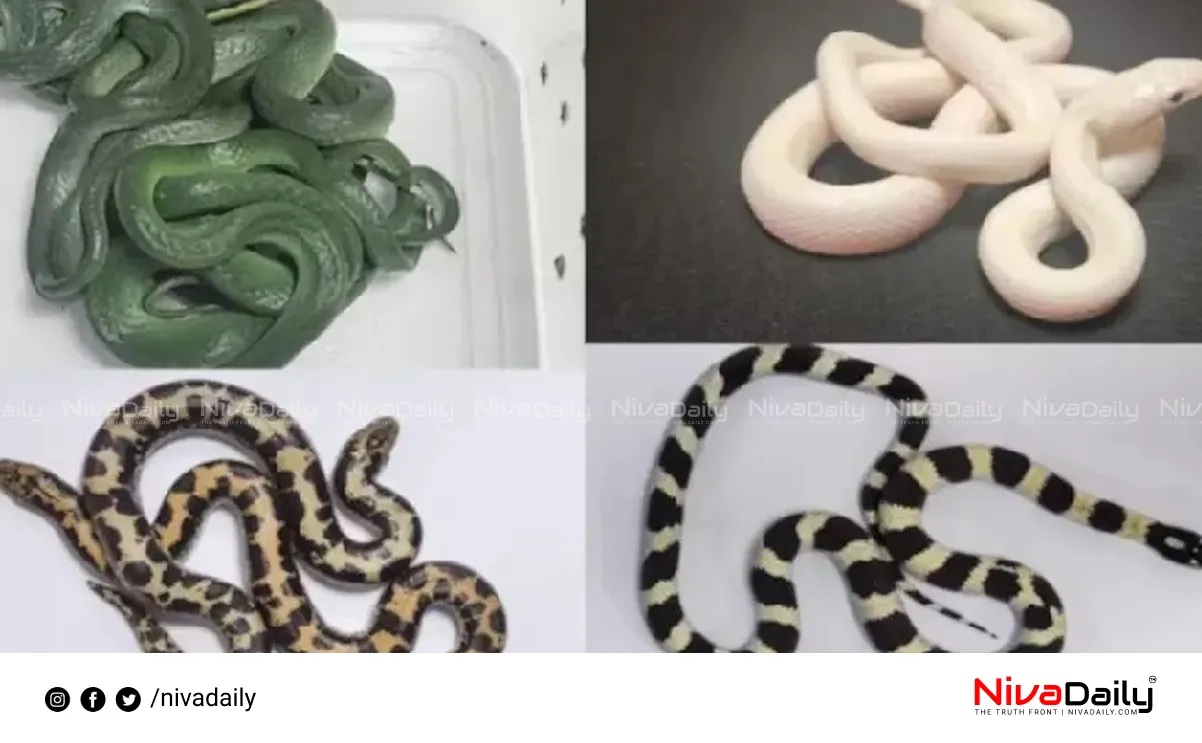 Snakes from Thailand
