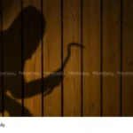 Thrissur robbery attempt