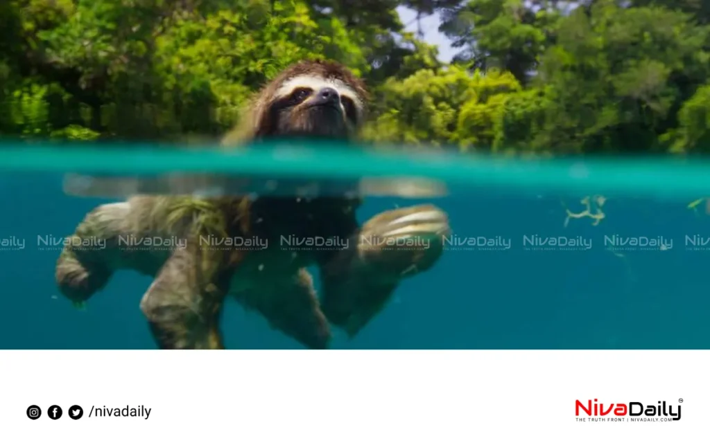 nature documentaries