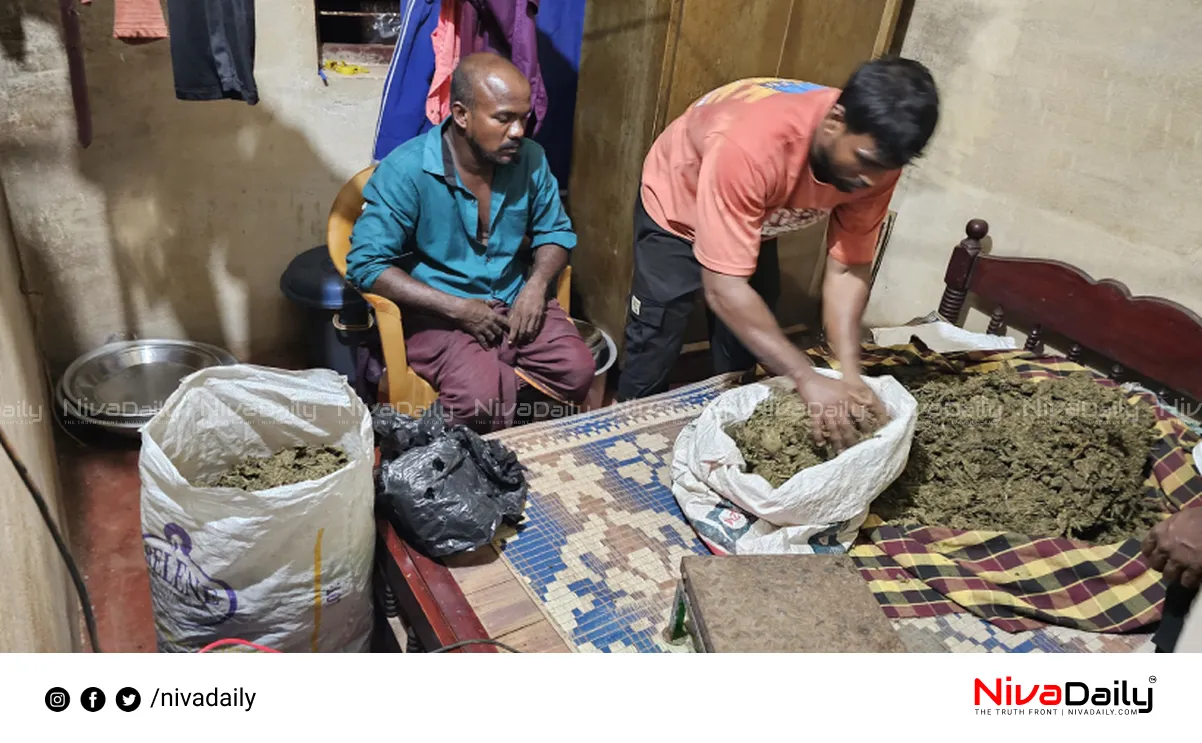 Cannabis Seizure
