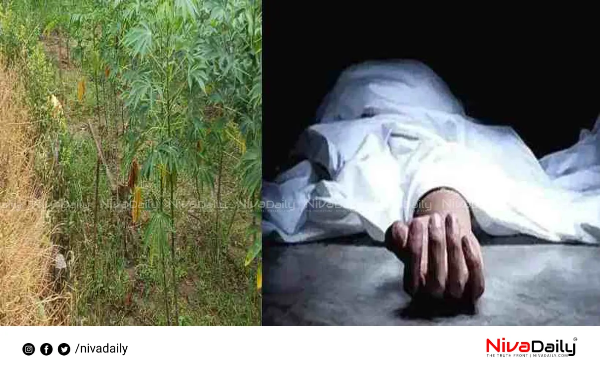 Alappuzha farmer death