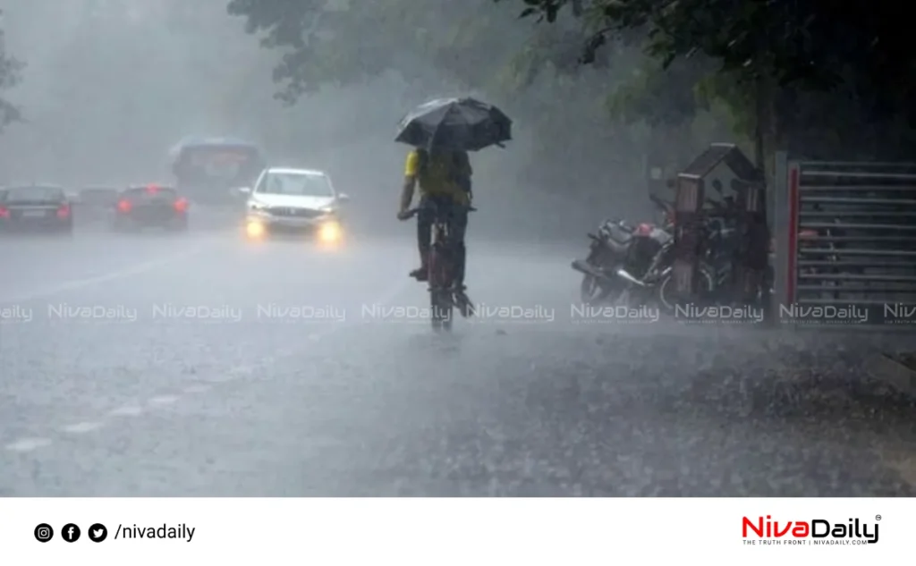 Kerala monsoon rainfall