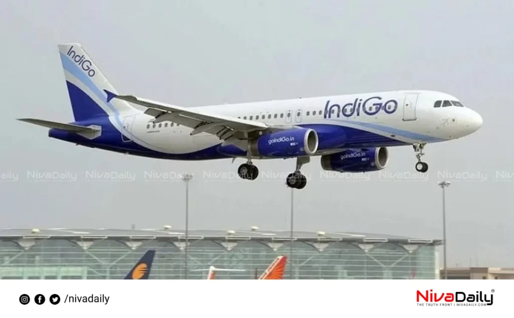 Indigo flight landing