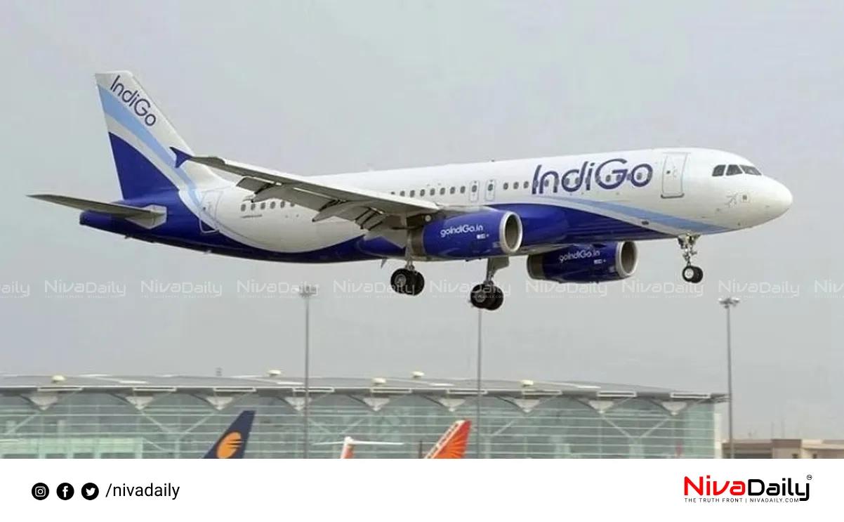 Indigo flight landing