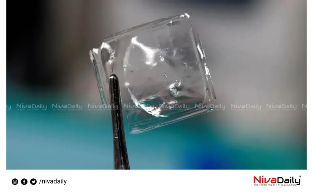 biodegradable plastics