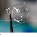 biodegradable plastics