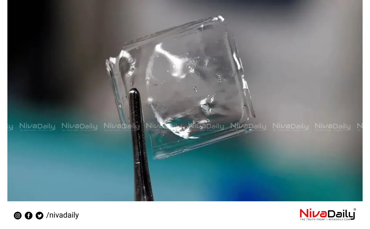 biodegradable plastics