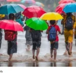 Kerala monsoon rainfall