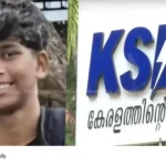 Electrocution death clarification