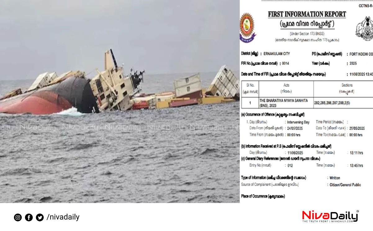 MSC Elsa 3 accident
