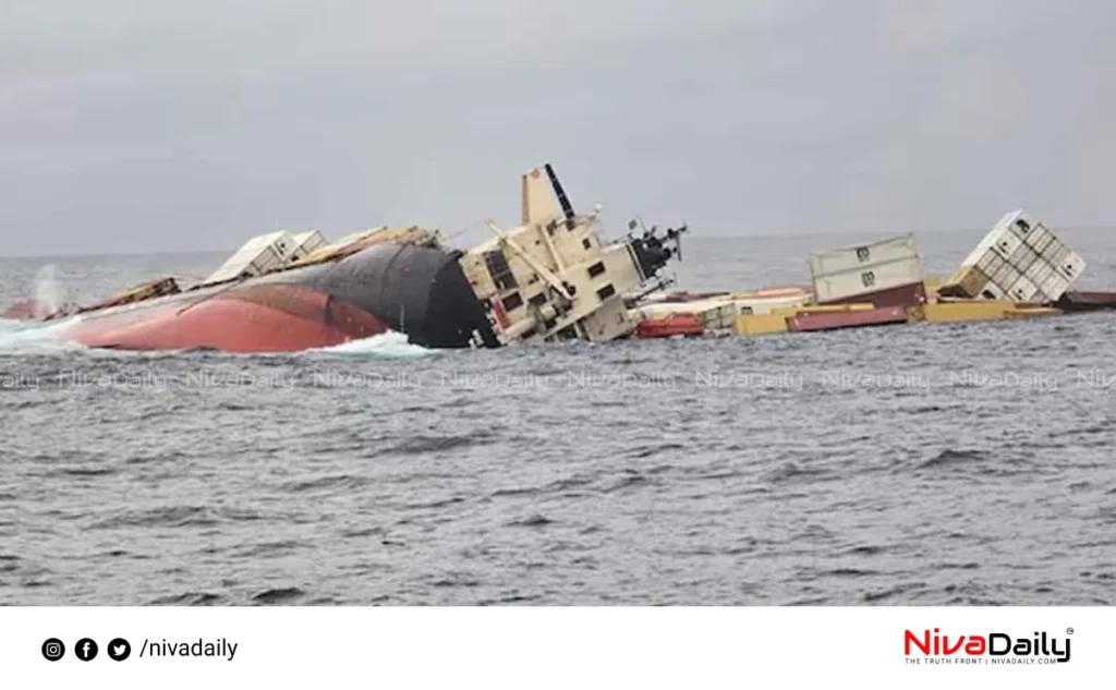 Kochi ship incident