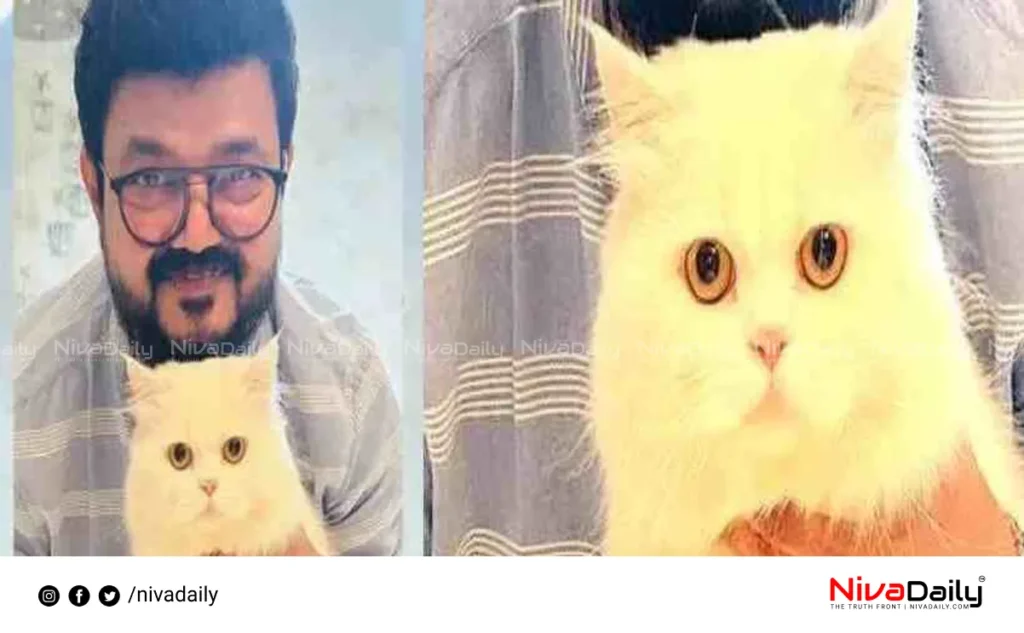 pet cat death