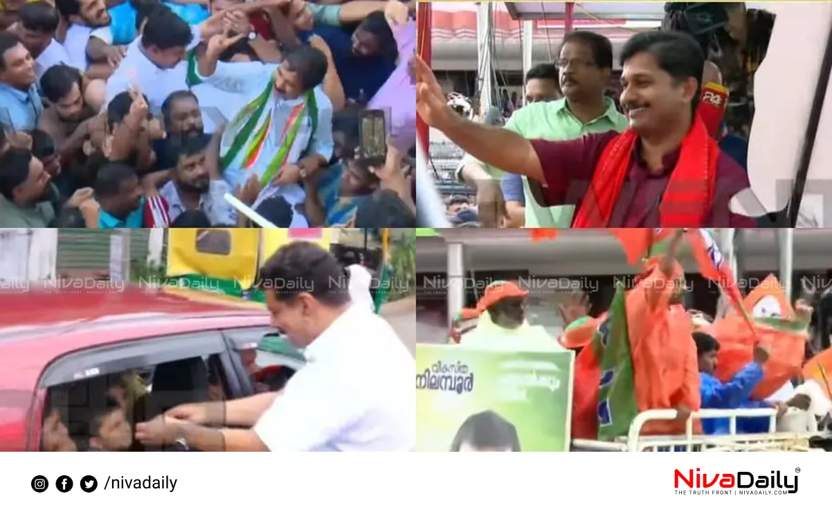 Nilambur byelection