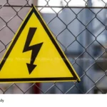 electric fence deaths