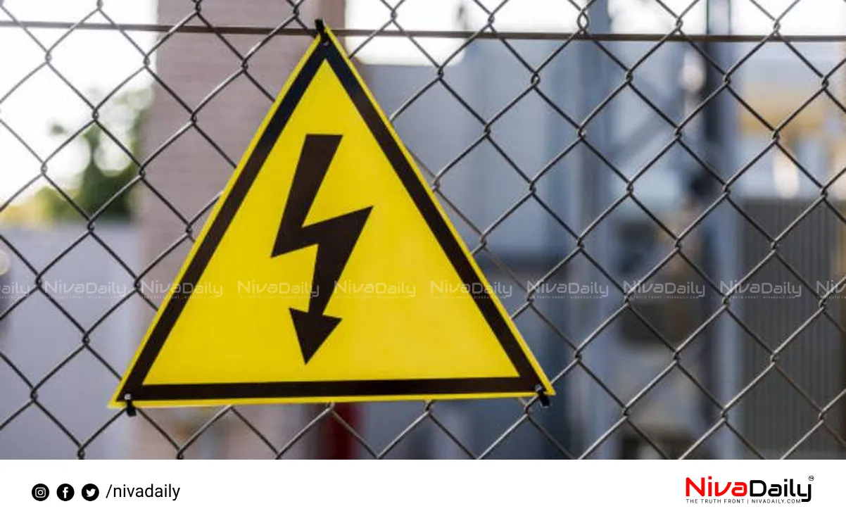 electric fence deaths