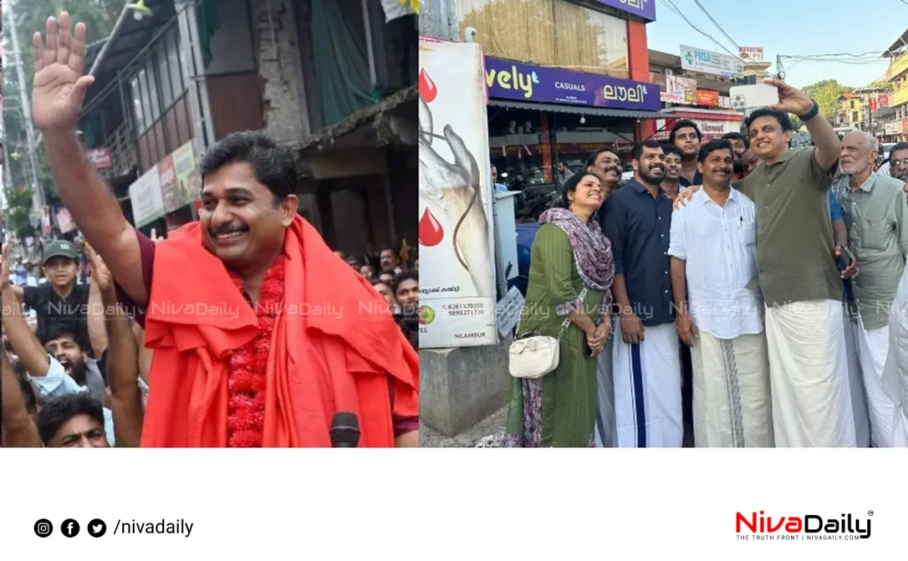 Nilambur bypoll