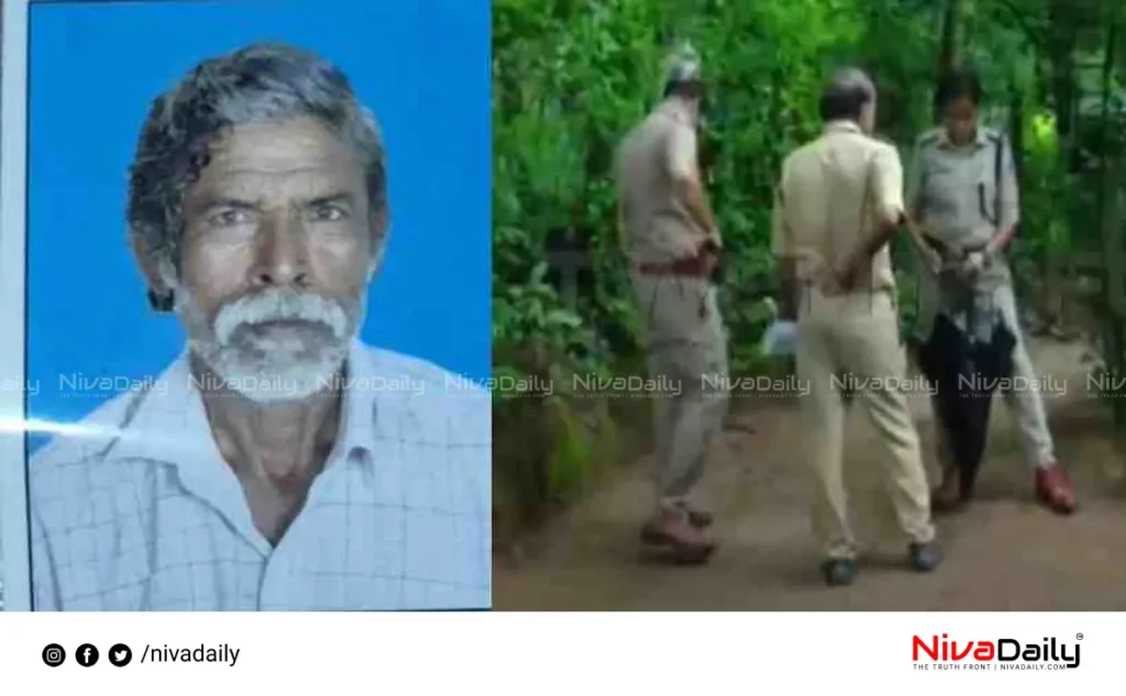 Palakkad elephant attack