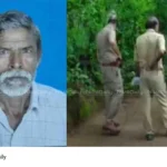 Palakkad elephant attack