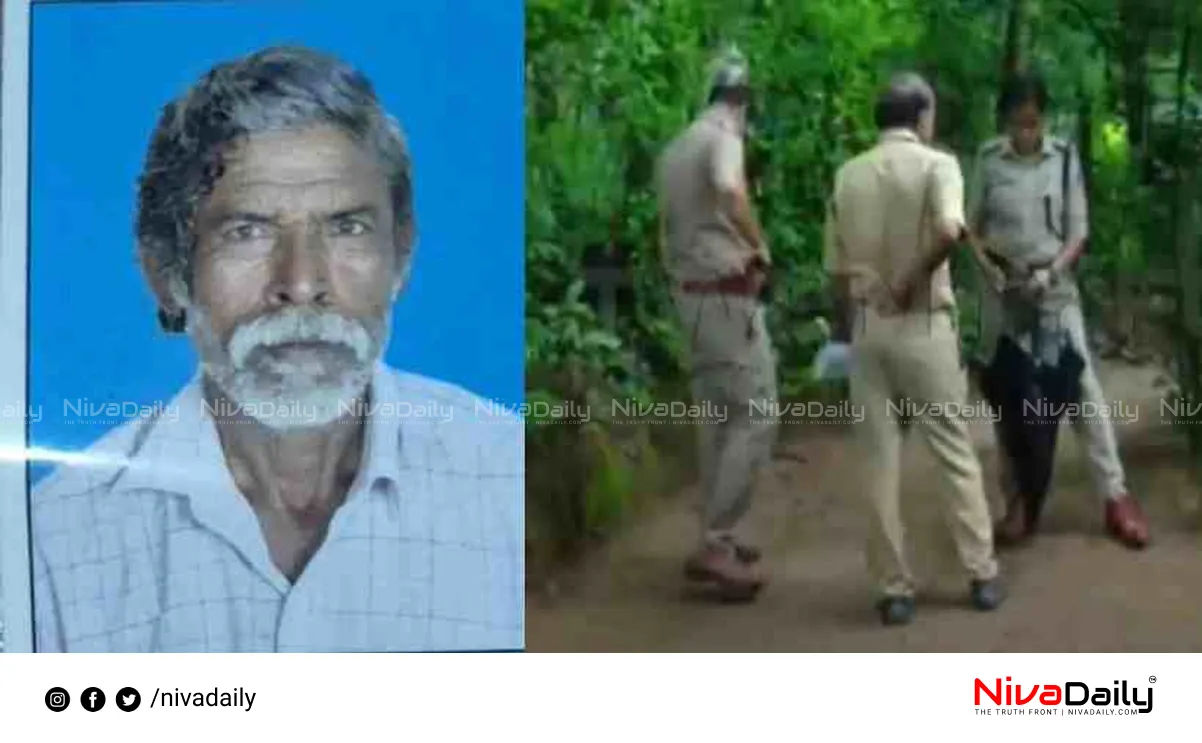 Palakkad elephant attack