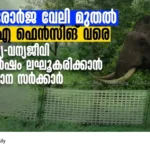 Kerala wildlife conflict