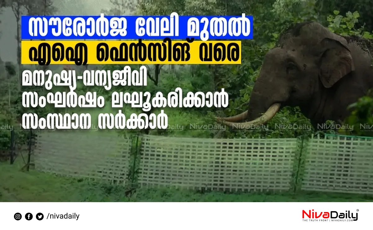 Kerala wildlife conflict