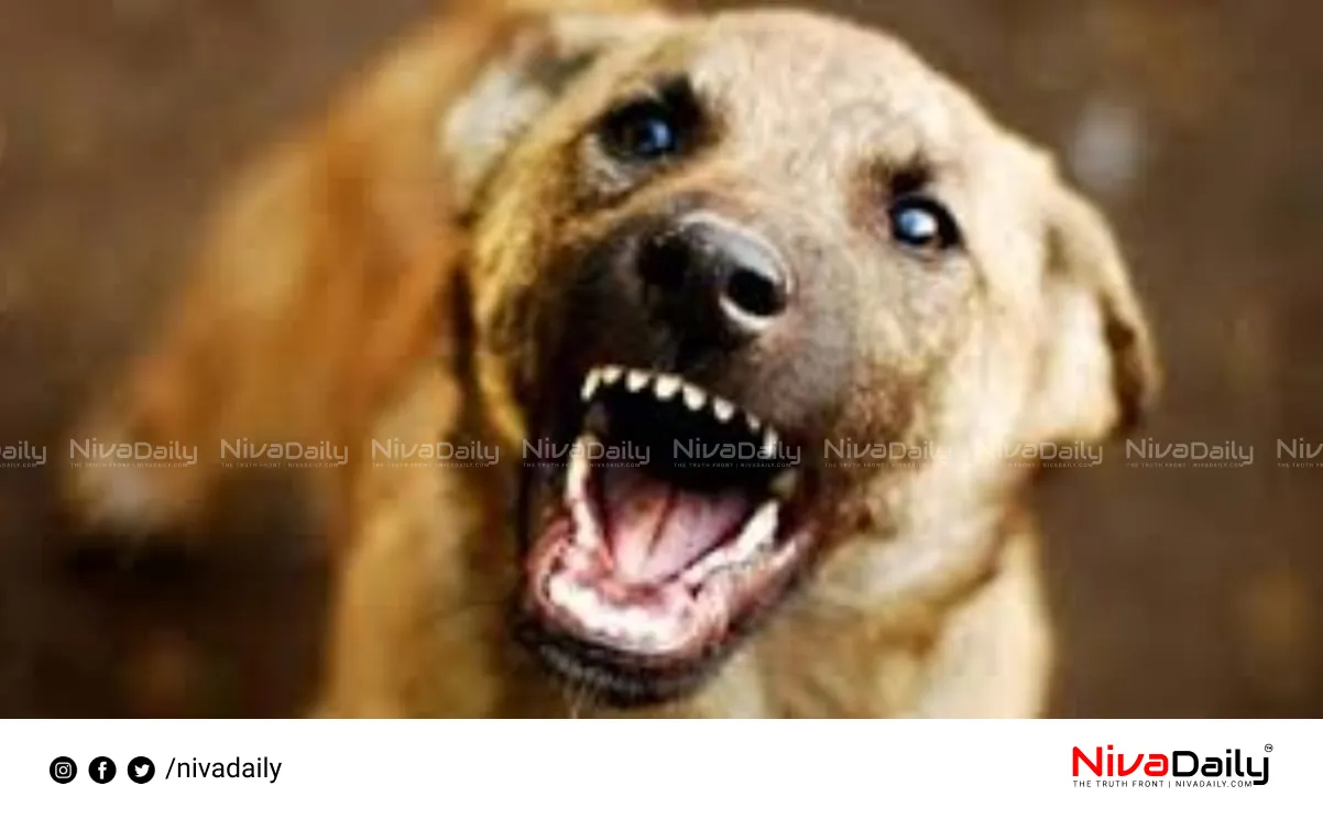 Kannur stray dog attack