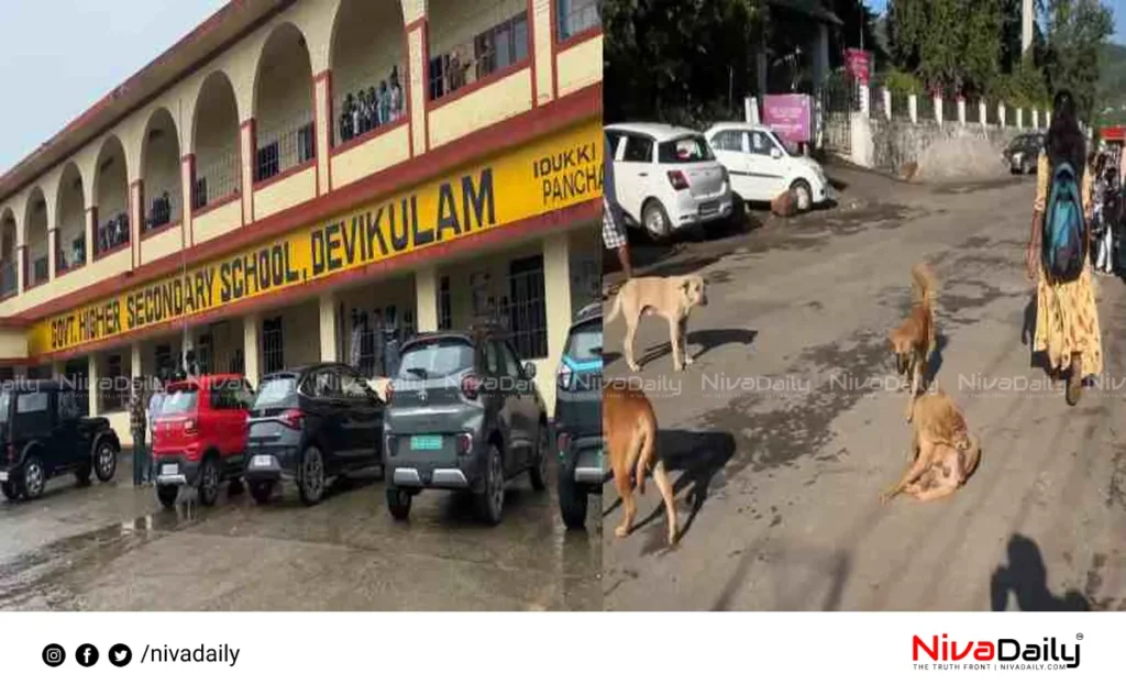 stray dog attack
