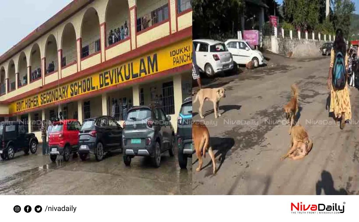 stray dog attack