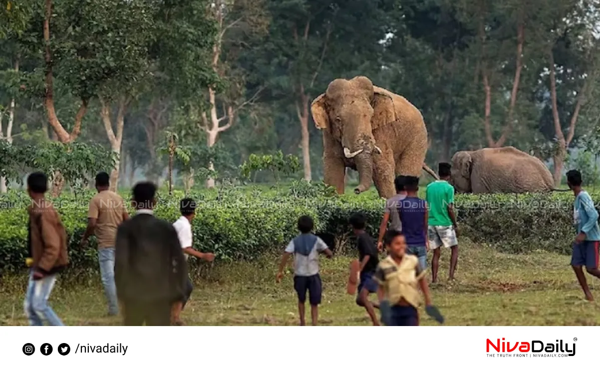 wildlife protection act