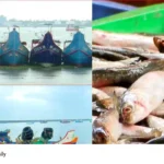 Kerala trawling ban
