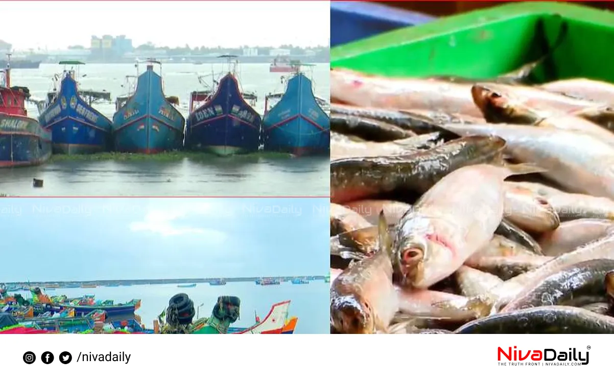 Kerala trawling ban