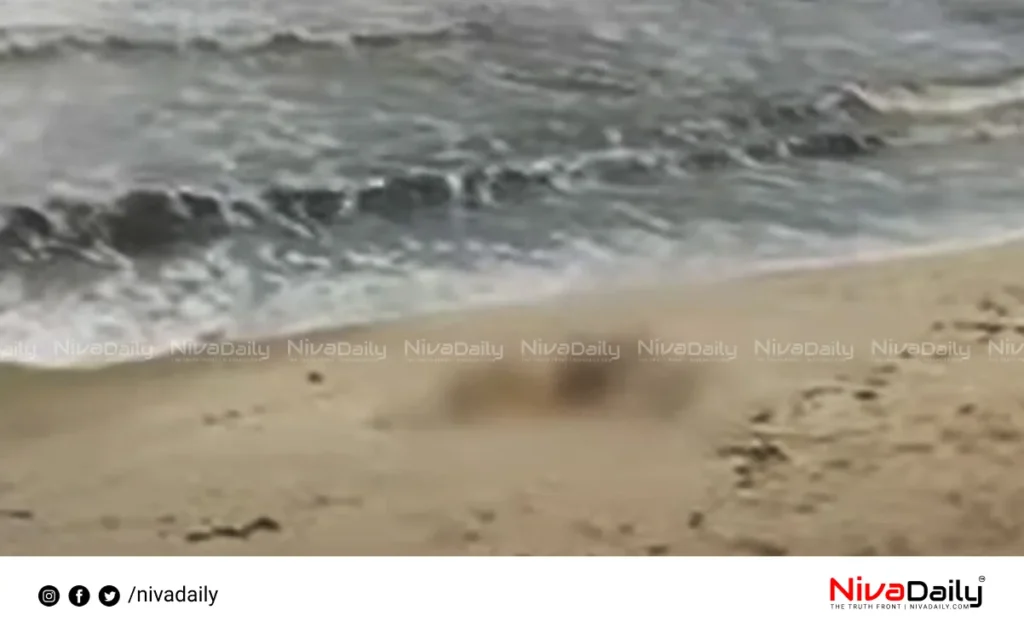 Arthungal unknown body