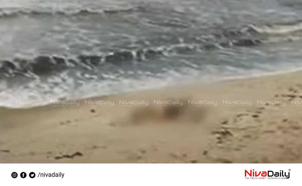 Arthungal unknown body