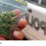 ganja packet arrest