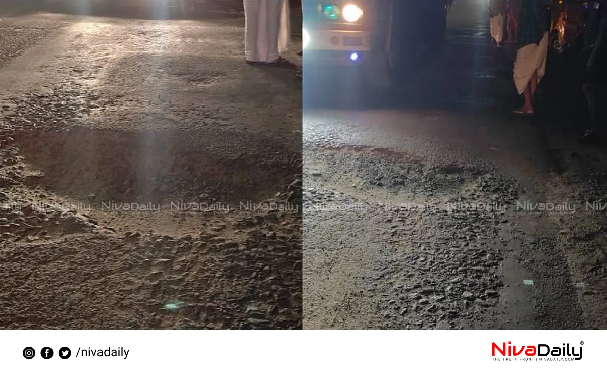 Palakkad pothole accident
