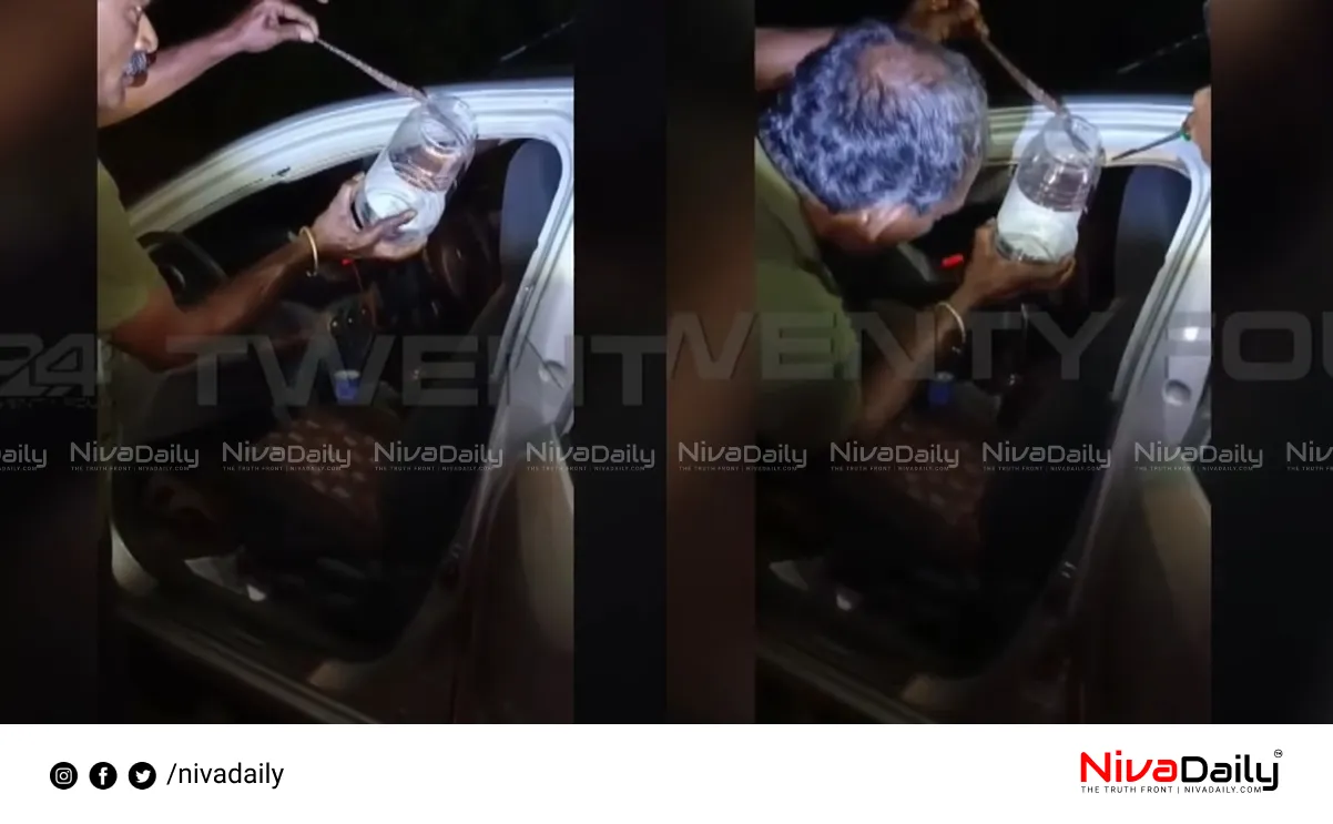 snake bite in car