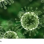 Kerala Nipah Virus