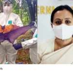 Nipah prevention efforts