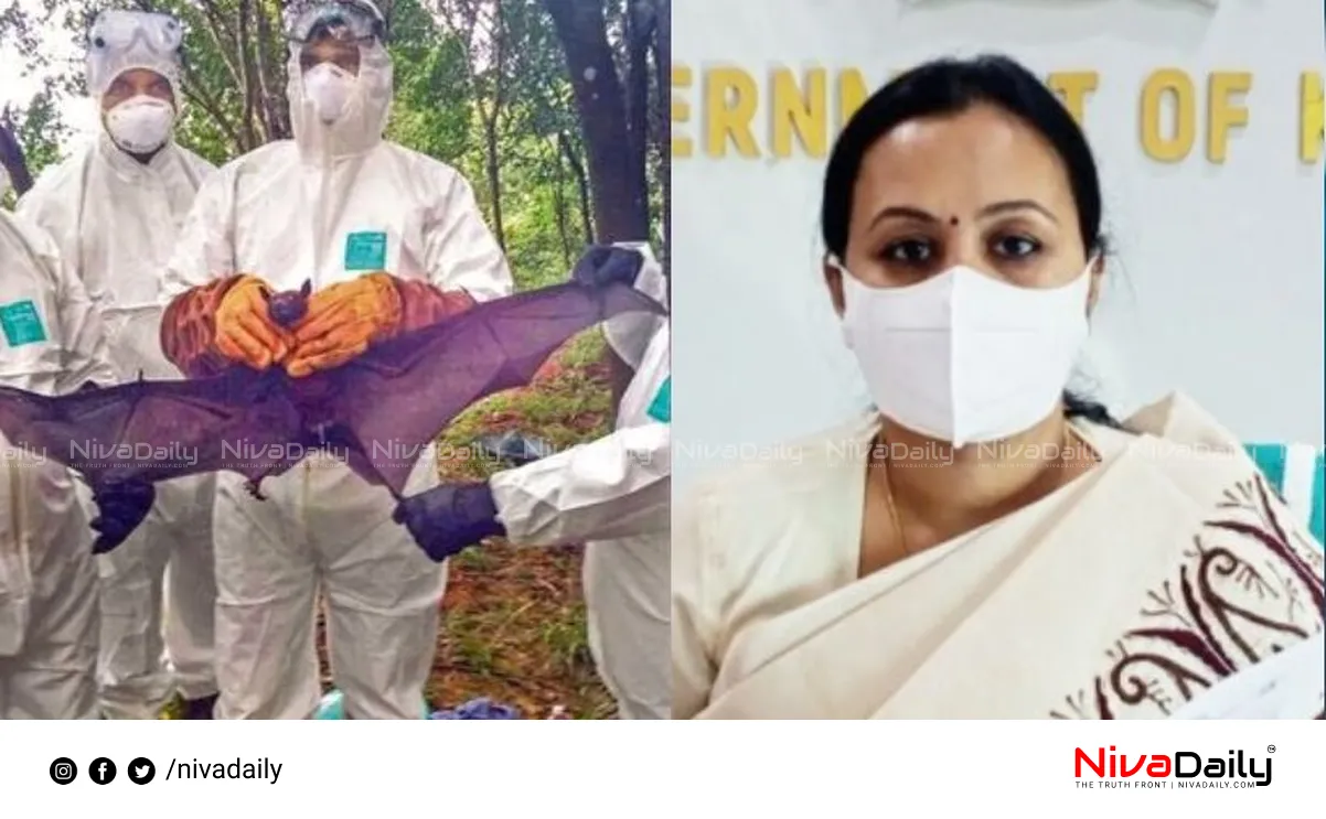 Nipah prevention efforts